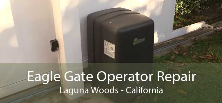 Eagle Gate Operator Repair Laguna Woods - California