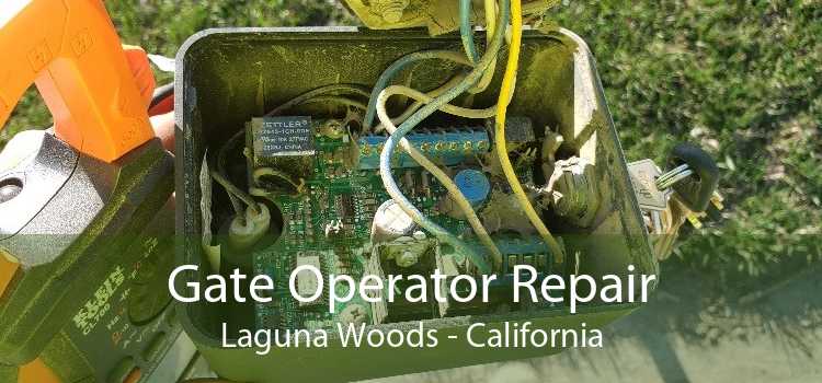 Gate Operator Repair Laguna Woods - California