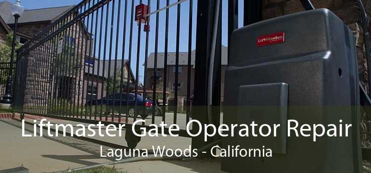 Liftmaster Gate Operator Repair Laguna Woods - California